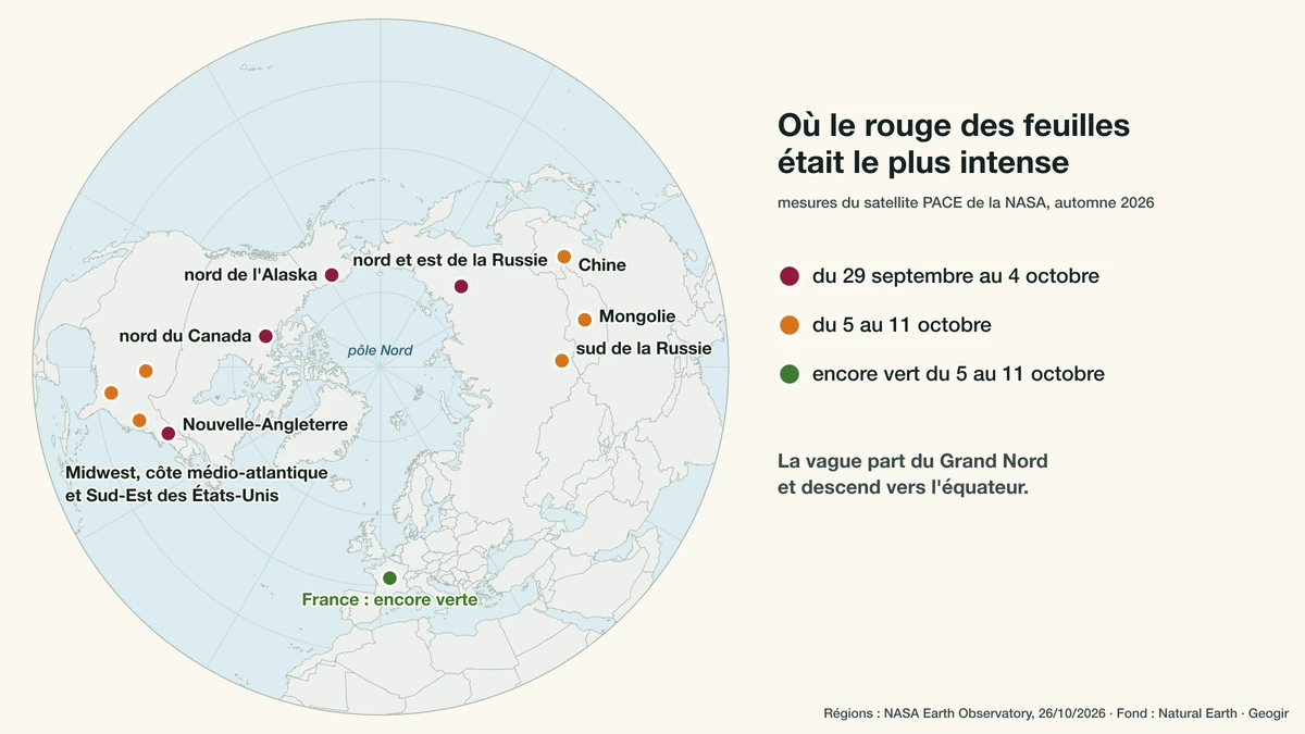 Carte de l'hémisphère nord vue du pôle : régions où le satellite PACE a mesuré le plus de rouge du 29 septembre au 4 octobre puis du 5 au 11 octobre 2026, France encore verte