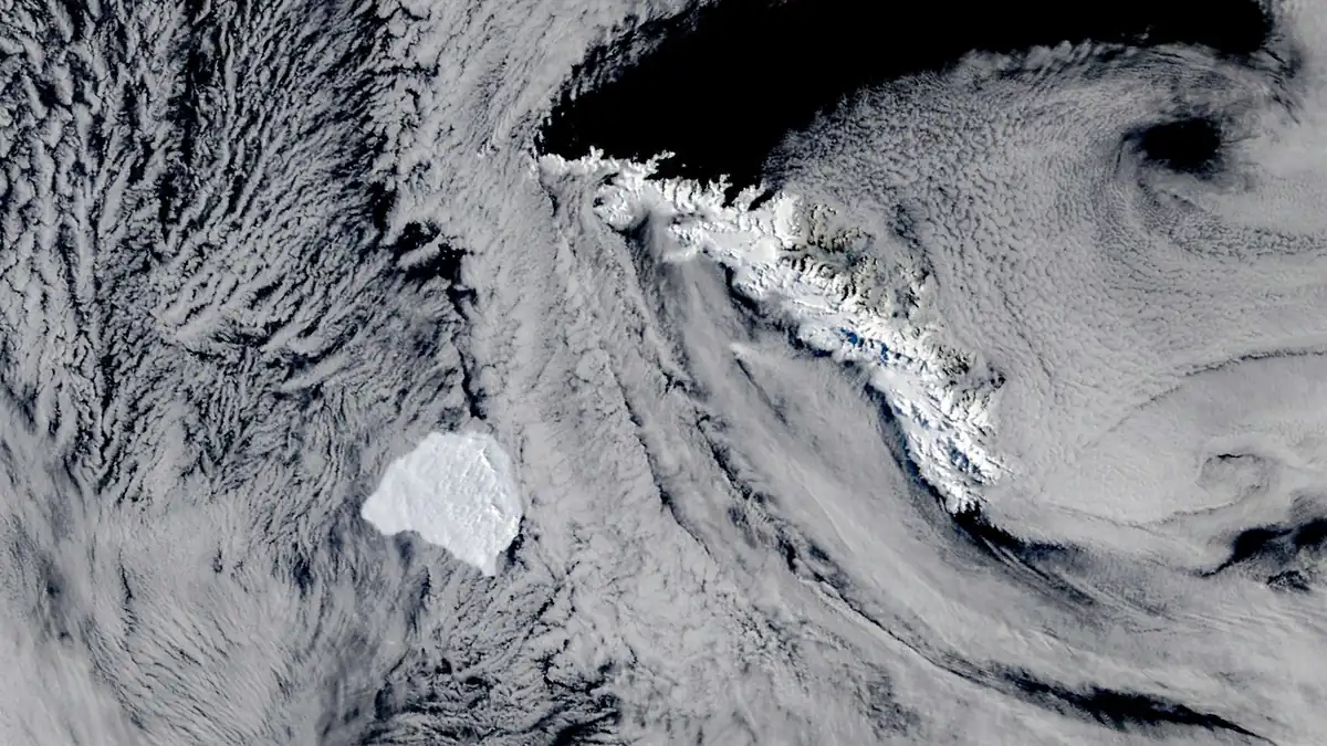 Géorgie du Sud : l'iceberg A-81 bute sur l'île après trois ans de dérive