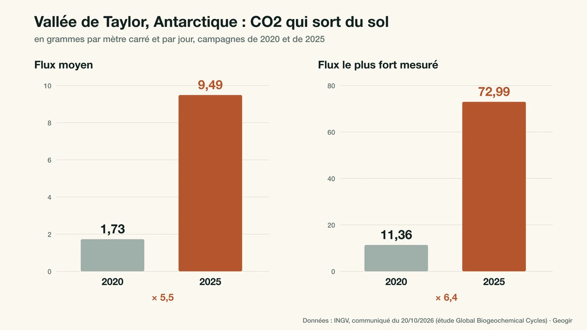 Graphique : flux de CO2 du sol de la vallée de Taylor, en Antarctique, moyenne de 1,73 à 9,49 g par m² et par jour et maximum de 11,36 à 72,99 g entre 2020 et 2025